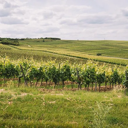 Weingut Petershof Appartement Alzey Buitenkant foto