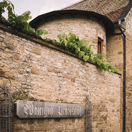 Weingut Petershof Appartement Alzey Buitenkant foto